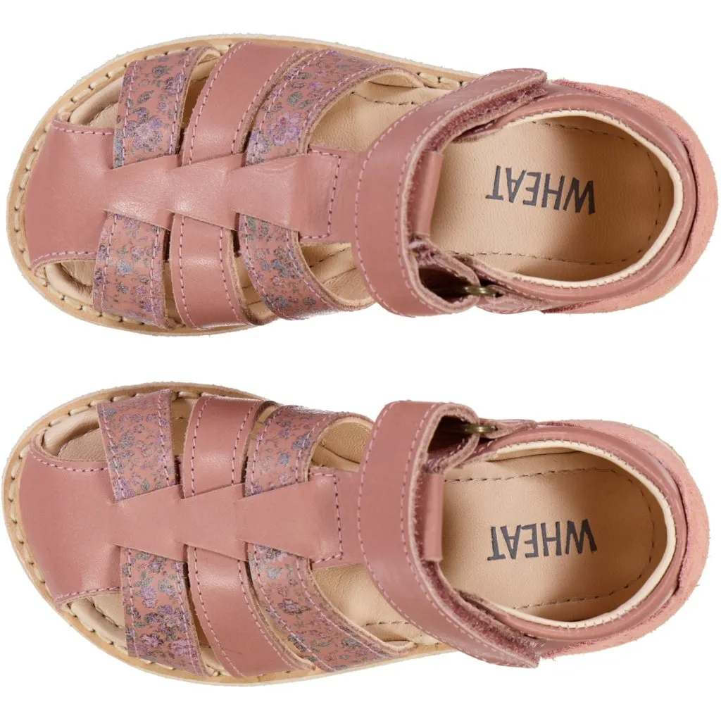 Bailey sandal print stripes - cameo blush